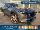 Mazda CX-30 Selection Matrix Freisprech LogIn RFK RVM  - Mazda: Login