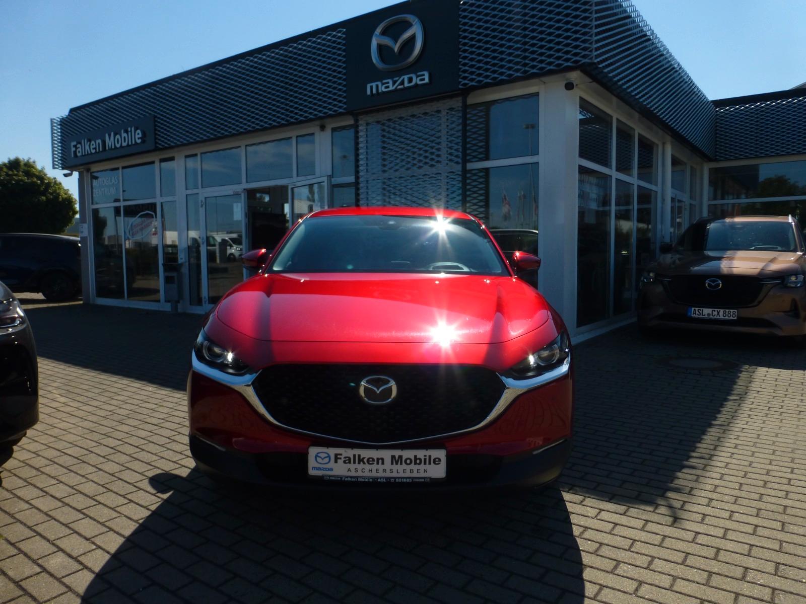 Mazda CX-30 Selction *KAMERA, DAB, MATRIX-LED-SW*