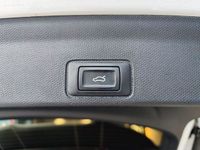 Cupra Terramar - Vorschau Bild 8