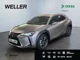 Lexus UX 250h Style Edition Bi-LED*ACC*CAM*SHZ*CarPlay - Lexus Gebrauchtwagen in Bremen