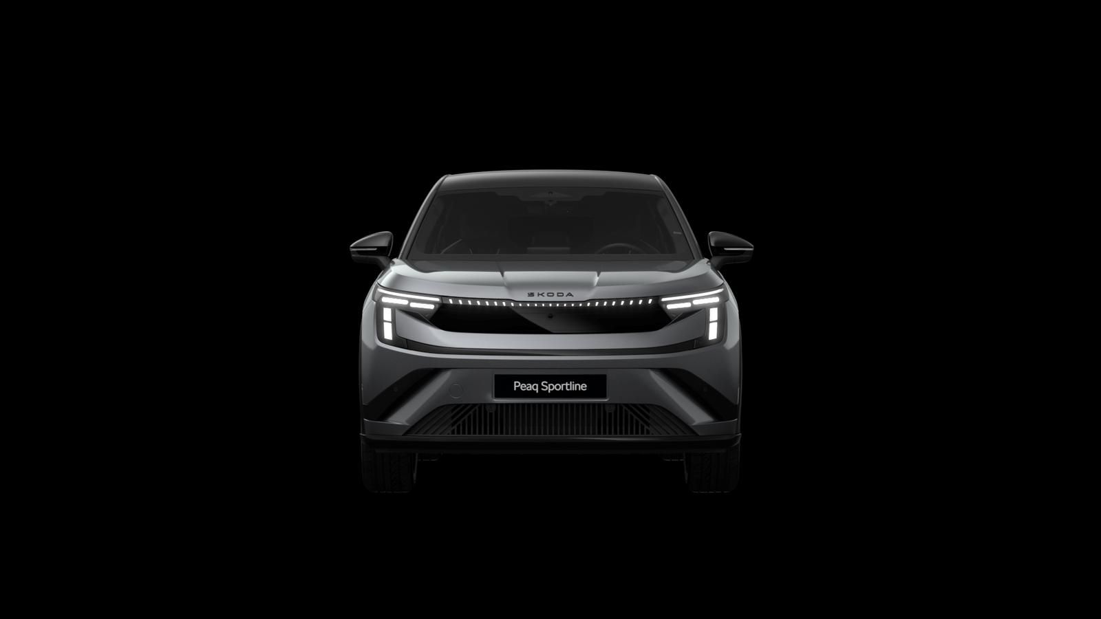 Skoda Andere - Bild 6