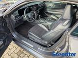 Ford Mustang GT 5.0 V8 Convertible VCT *MAGNERIDE* - Ford Mustang Gebrauchtwagen