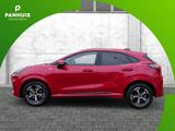 Ford Puma ST-Line - Ford Puma Jahreswagen