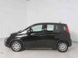 Fiat Panda 1.0 GSE Hybrid - Fiat Panda Gebrauchtwagen in Stuttgart