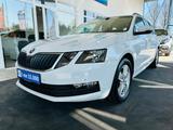 Skoda Octavia 1.5 TSI Ambition DSG SHZG PDC v+h CarPla - Skoda Gebrauchtwagen in Dortmund