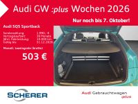 Audi SQ5 - Vorschau Bild 16