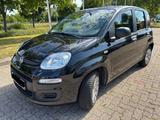 Fiat New Panda 1.2 8V MYSTYLE MYSTYLE - schwarze Fiat New Panda