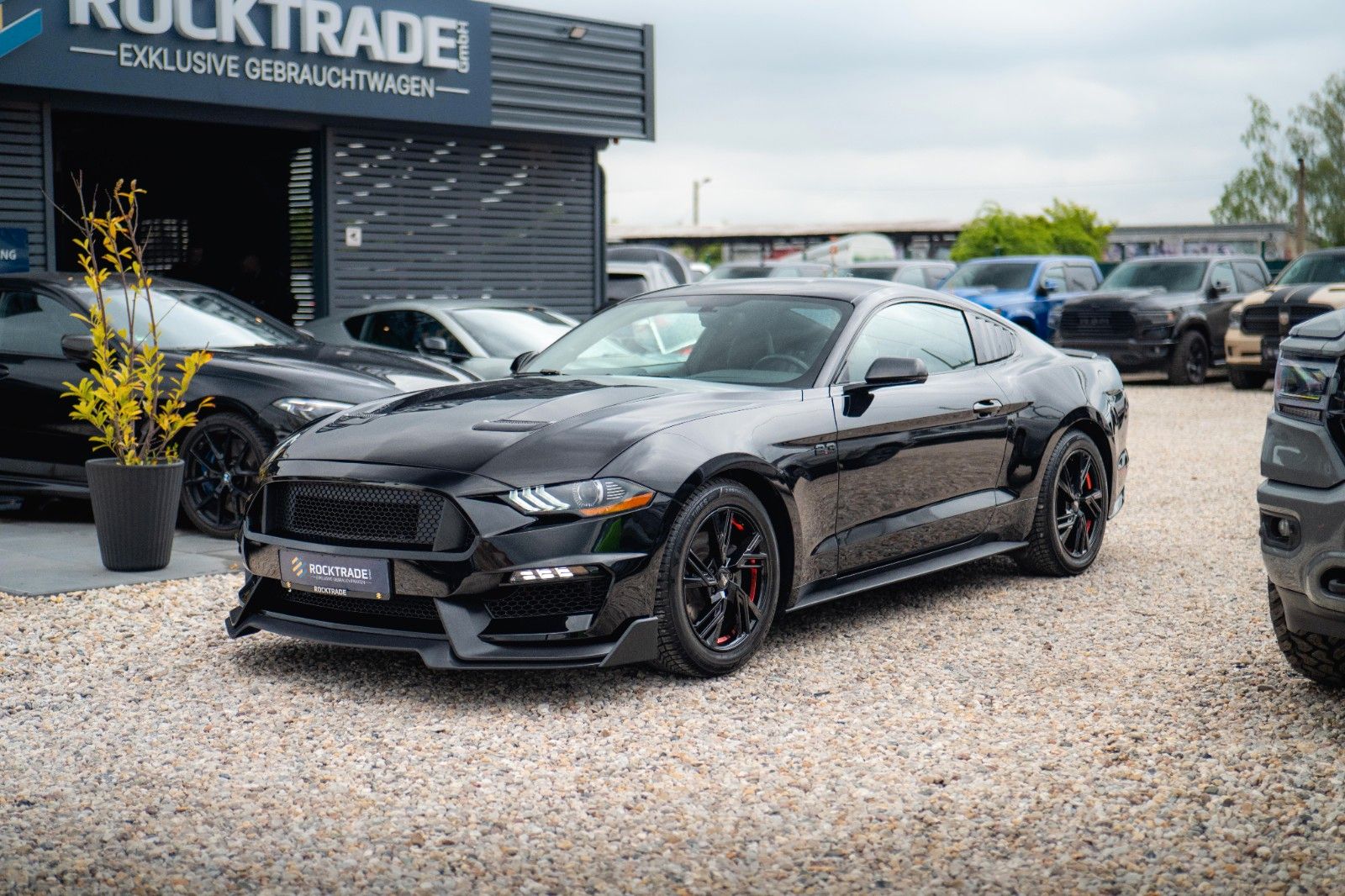 Fahrzeugabbildung Ford Mustang Shelby Coupe GT 350 Package Dark Horse