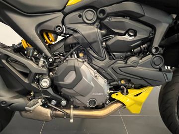 Ducati Monster Plus