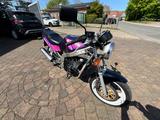 Suzuki GS 500EU - Angebote