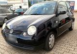 Volkswagen VW LUPO 6X OXFORD TÜV neu E-Fenster Sitzhz... - Volkswagen Lupo: Oxford