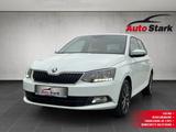 Skoda Fabia 1,2 TSI 90 PS Edition°LED°SHZ°Tempomat°DAB - Skoda Fabia Edition mit Benzin-Antrieb