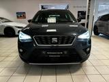 Seat Arona Xcellence /LED/Kamera/ACC/Navi - Seat Arona in Kassel