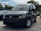 Volkswagen Caddy Kasten/Kombi Roncalli Trendline - Volkswagen Caddy: Roncalli Trendline