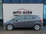Opel Meriva 1.4 Innovation*SHZ*LHZ*AHK*Klimaauto*Temp - gebrauchte Opel Meriva aus dem Jahr 2010