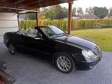 Mercedes-Benz Mercedes CLK 320 Cabrio LPG *TÜV NEU* - Mercedes-Benz CLK-Klasse mit LPG-Antrieb