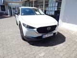 Mazda CX-30 2.5L e-SKYACTIV G 140ps 6AT FWD Homura - weiße Mazda CX-30