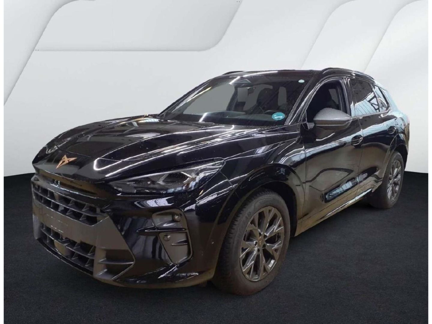 Cupra Terramar - Bild 2