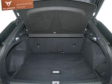 Cupra Terramar - 10