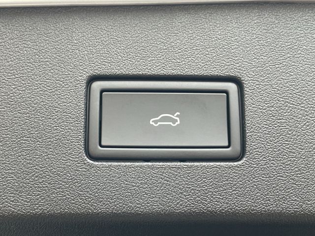 Tayron 2.0 TDI 4Motion R-Line Standhzg/AHK/Pano