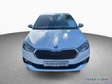 Skoda Fabia Style 1.0 TSI 6-Gang *NAVI*KLIMA - Skoda Fabia Gebrauchtwagen in Nürnberg