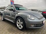 Volkswagen Beetle Sport 2.0 TDI *BI-XENON*PANO*KLIMAA-*ALU* - Volkswagen Beetle: TDI