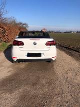 Volkswagen Golf 1.4 TSI DSG Cabriolet - - Volkswagen Golf: Leder, Cabrio