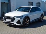 Audi e-tron S 370 quattro - B & O / Carbon - Audi e-tron in Dresden