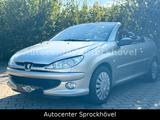 Peugeot 206 CC |Roland Garros| - graue Peugeot 206