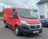 Fiat Ducato - Fiat Ducato Gebrauchtwagen in Nürnberg