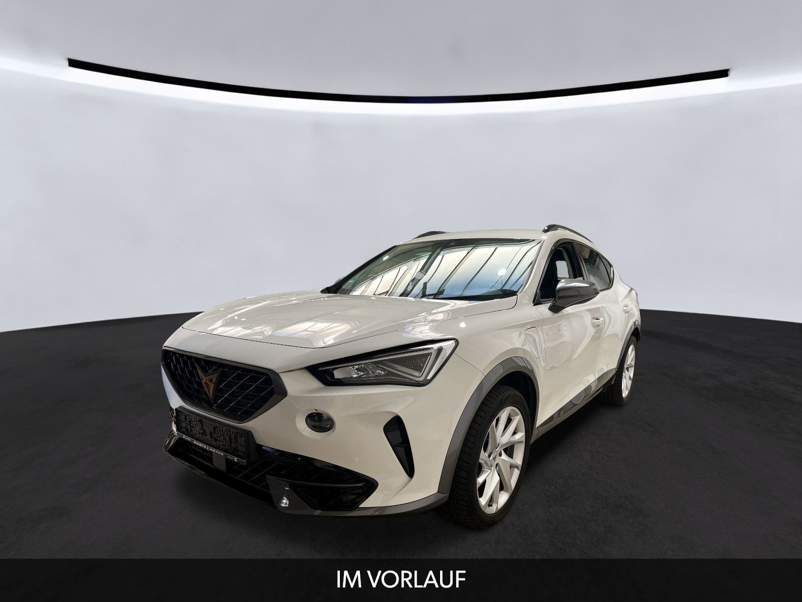 Cupra Formentor e-Hybrid 1.4 DSG/AHK/ACC/SHZ/PDC