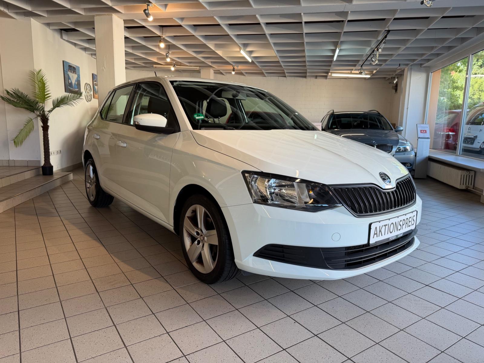Skoda Fabia Cool Edition Klima Hu&Au