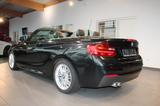 BMW 220d Cabrio Navi PDC SHZ Leder Tempomat - BMW 220: D