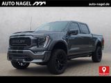 Ford Shelby Offroad Truck 4x4 Lariat 22" Karbon-Pack! - Ford: Kar