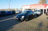 Volkswagen New Beetle 1.9 TDI UNITED SHZ PDC KLIMA - Volkswagen New Beetle: United