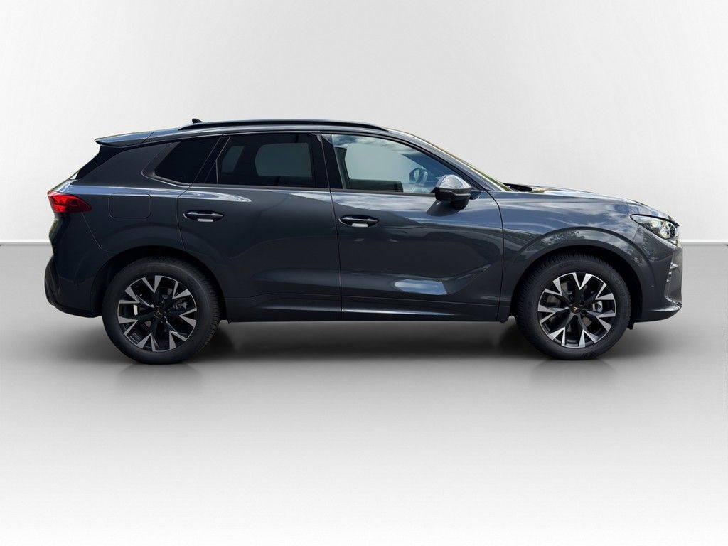 Cupra Terramar - Bild 5