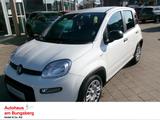 Fiat Panda Hybrid 1.0 digitales Cockpit DAB Spurhalte - Fiat Panda in Lübeck