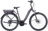 Pegasus Solero E8 Plus M (28 Zoll) - Pegasus E-Bikes