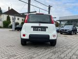 Fiat New Panda City Life 1.0 *Klima Sitzh. NS PDC DAB - Fiat New Panda Gebrauchtwagen