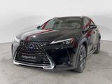 Lexus UX UX 250H 4WD Luxury - Lexus UX aus 2019