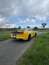 Ford Mustang 2.3 EcoBoost  - Ford Mustang Gebrauchtwagen in Bielefeld