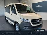Mercedes-Benz Sprinter 317 SELECT+LED+Taxi+Tourer+Lift+Rampe - Mercedes-Benz Sprinter: Beige