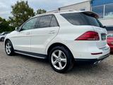 Mercedes-Benz GLE250 D 4MATIC 9G-T*AMBIENTE*LEDER*MEMORY*360°K - weiße Mercedes-Benz GLE 250