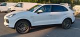 Porsche Cayenne E-Hybrid Platinum Edition Platinum E... - Behindertengerechte Porsche Cayenne