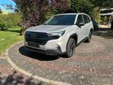 Subaru Forester Active Lineatronic - Subaru Forester mit Hybrid-Antrieb: Active