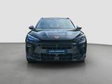 Cupra Terramar 1.5 eTSI 5JGAR HUD 360° Virtual ACC - Cupra Terramar Jahreswagen