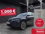Skoda Karoq TSI Drive-125 DSG LED Navi AID ACC RFK SH - Skoda Karoq: Drive