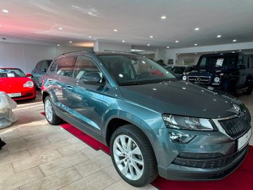 Skoda Karoq - 8