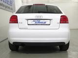Audi A3 1.6 Attraction, Xenon, Sitzheizung, Alu - Audi A3 mit Benzin-Antrieb: 1.6