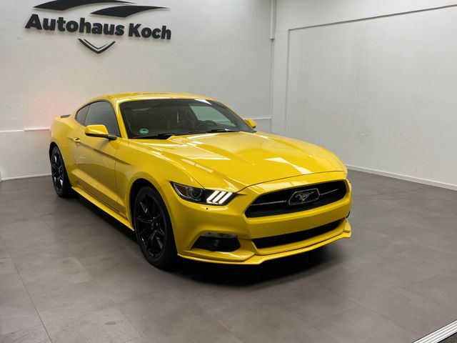 Ford MUSTANG 2.3 50 YEARS EDITION IN BESONDERER FARBE